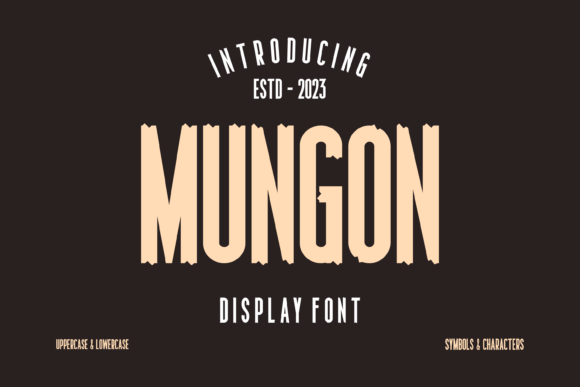 Mungon Display Font for Handmade Creators